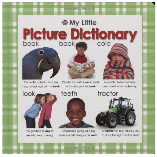 My Little Picture Dictionary