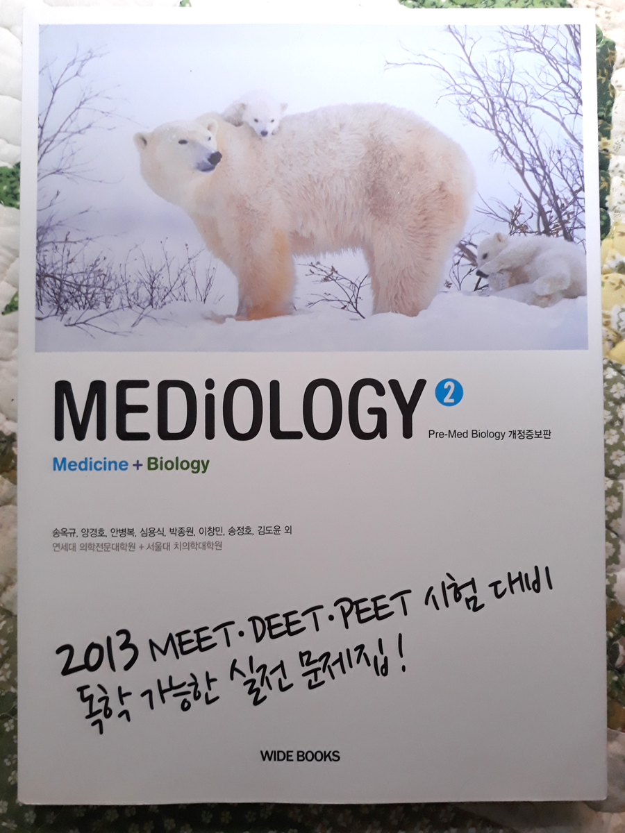 mediology2 메디올로지