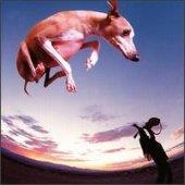 Paul Gilbert - Flying Dog (홍보용 음반) 