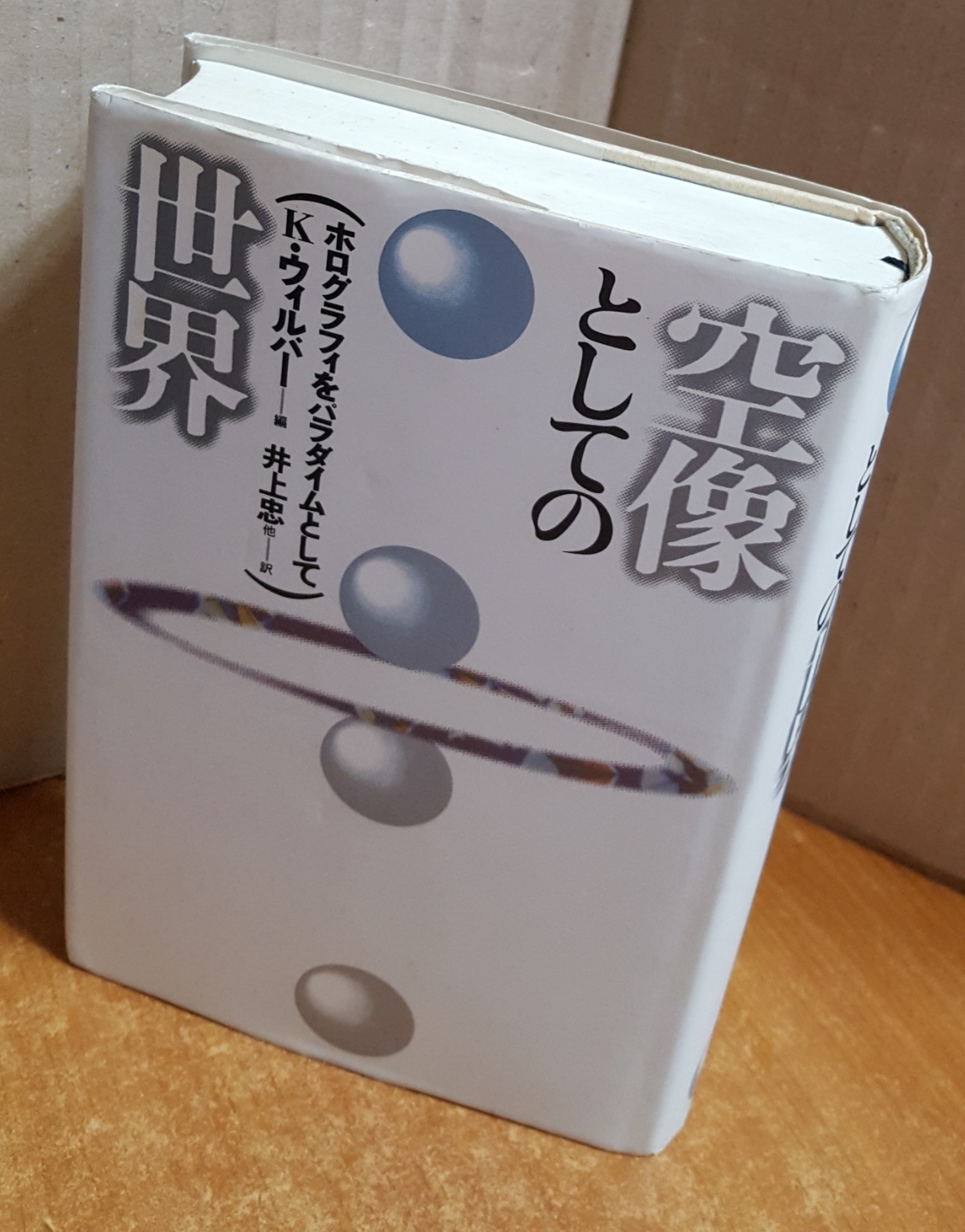 空像としての世界―ホログラフィをパラダイムとして (?行本) 