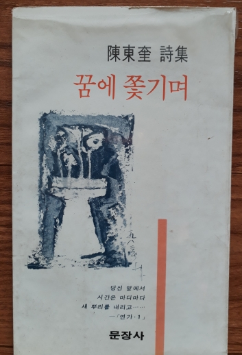 꿈에 쫓기며