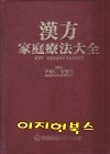 한방가정요법대전 - 한방약 한방요법에서 민간요법까지[양장]