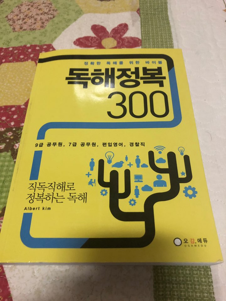 독해정복 300