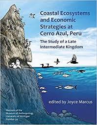 Coastal Ecosystems and Economic Strategies at Cerro Azul, Peru: The Study of a Late Intermediate Kingdom (Paperback)