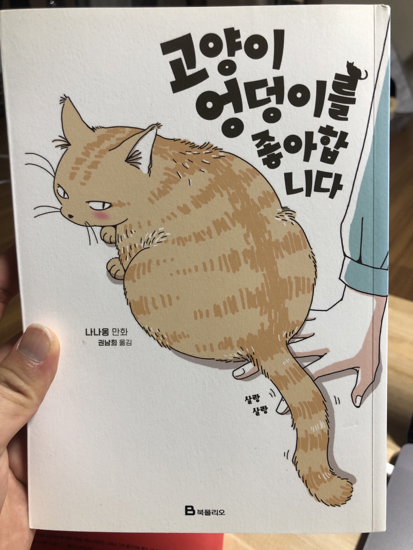 고양이 엉덩이를 좋아합니다