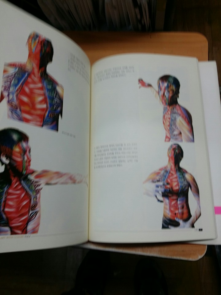 THE BODY ART WITH COLORS VOL.2(Airbrush Bodypainting)양장본 큰책