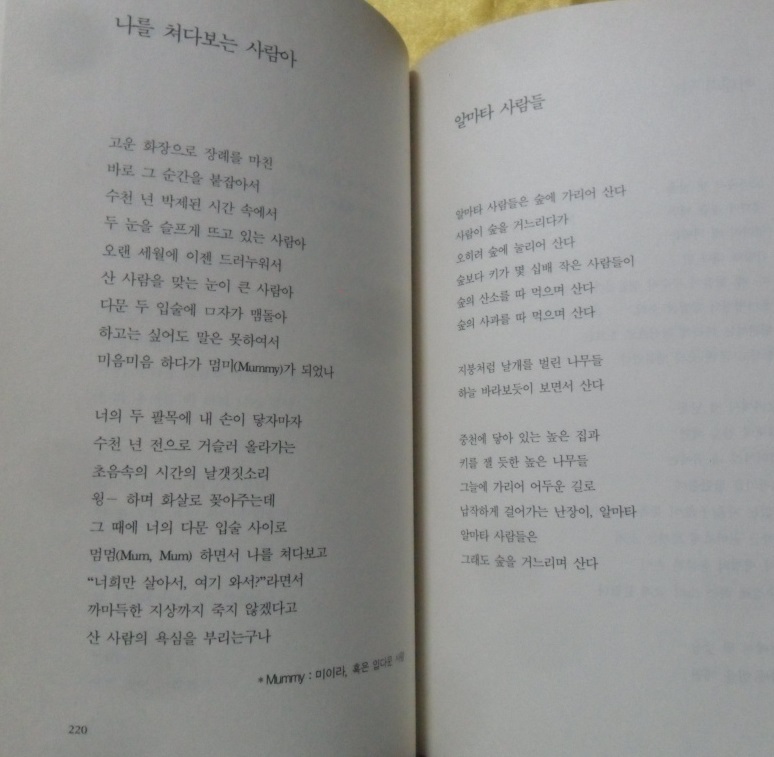 초록 징검다리 -김규화 시선집 -