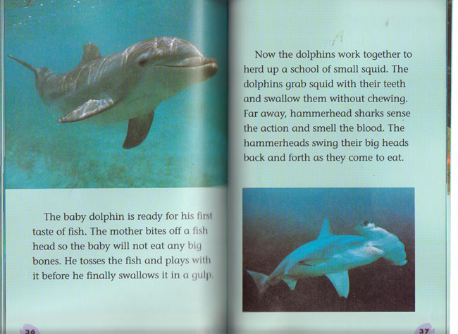Ocean Life (Scholastic Science Readers, Level 2)