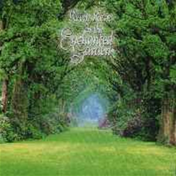 Kevin Kern / In The Enchanted Garden (수입) 