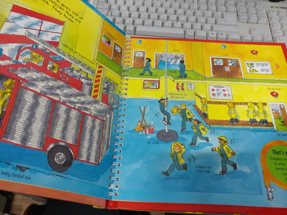 Busy Books(A Lift-the-flap Learning Book) 5권 세트