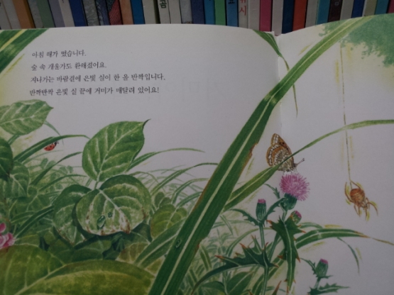 웅진씽크빅)마술피리그림책 어린이