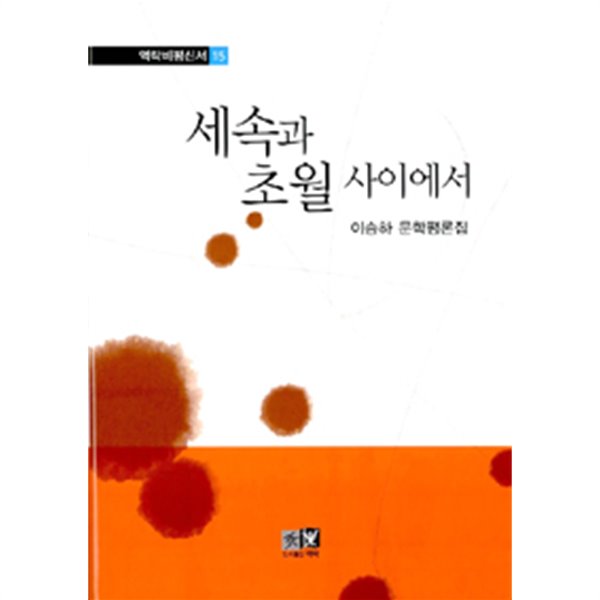 세속과 초월 사이에서 - 이승하 문학평론집 (양장/인문)