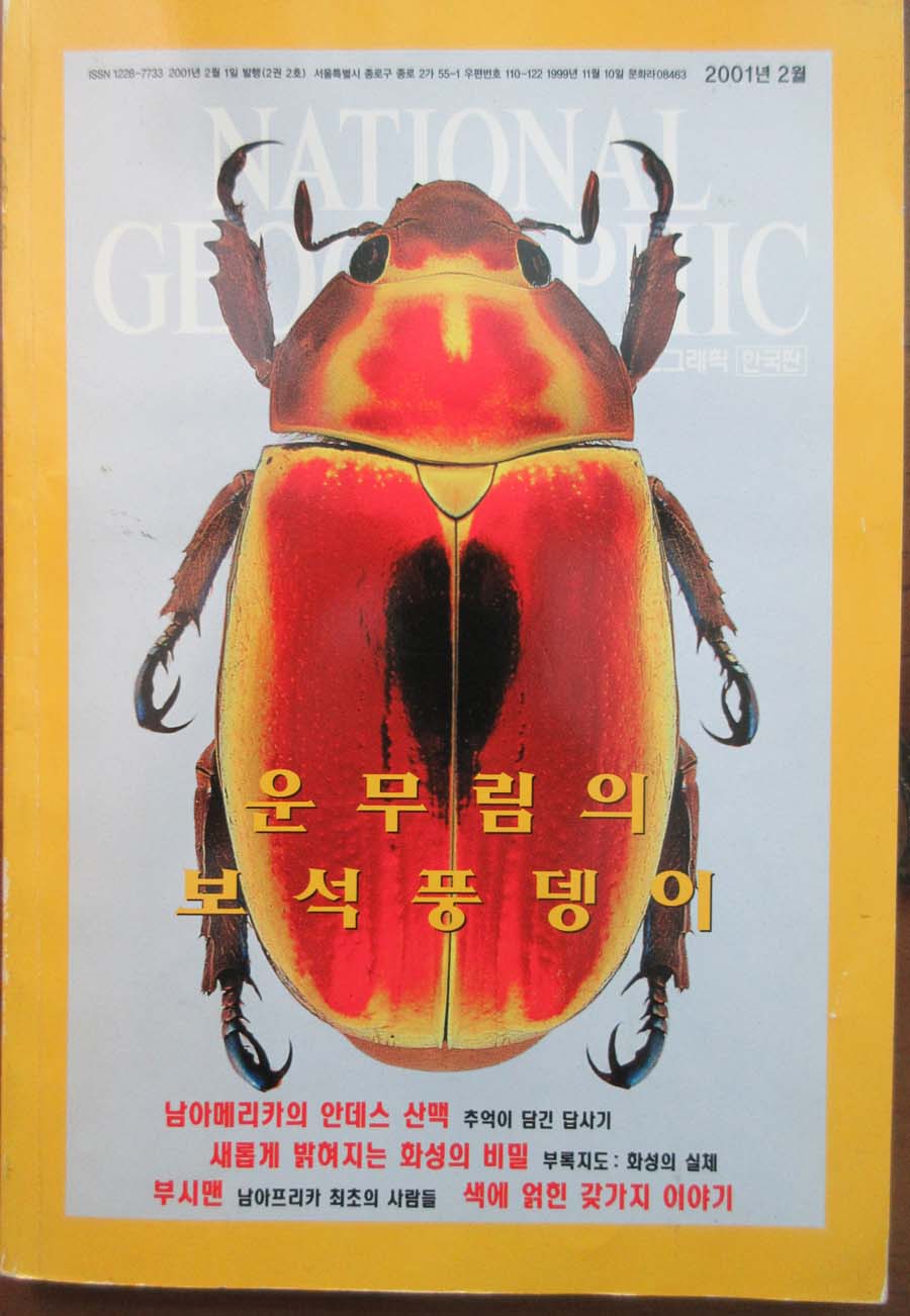 NATIONAL GEOGRAPHIC 내셔널 지오그래픽,한국판,(2001년 2월호)