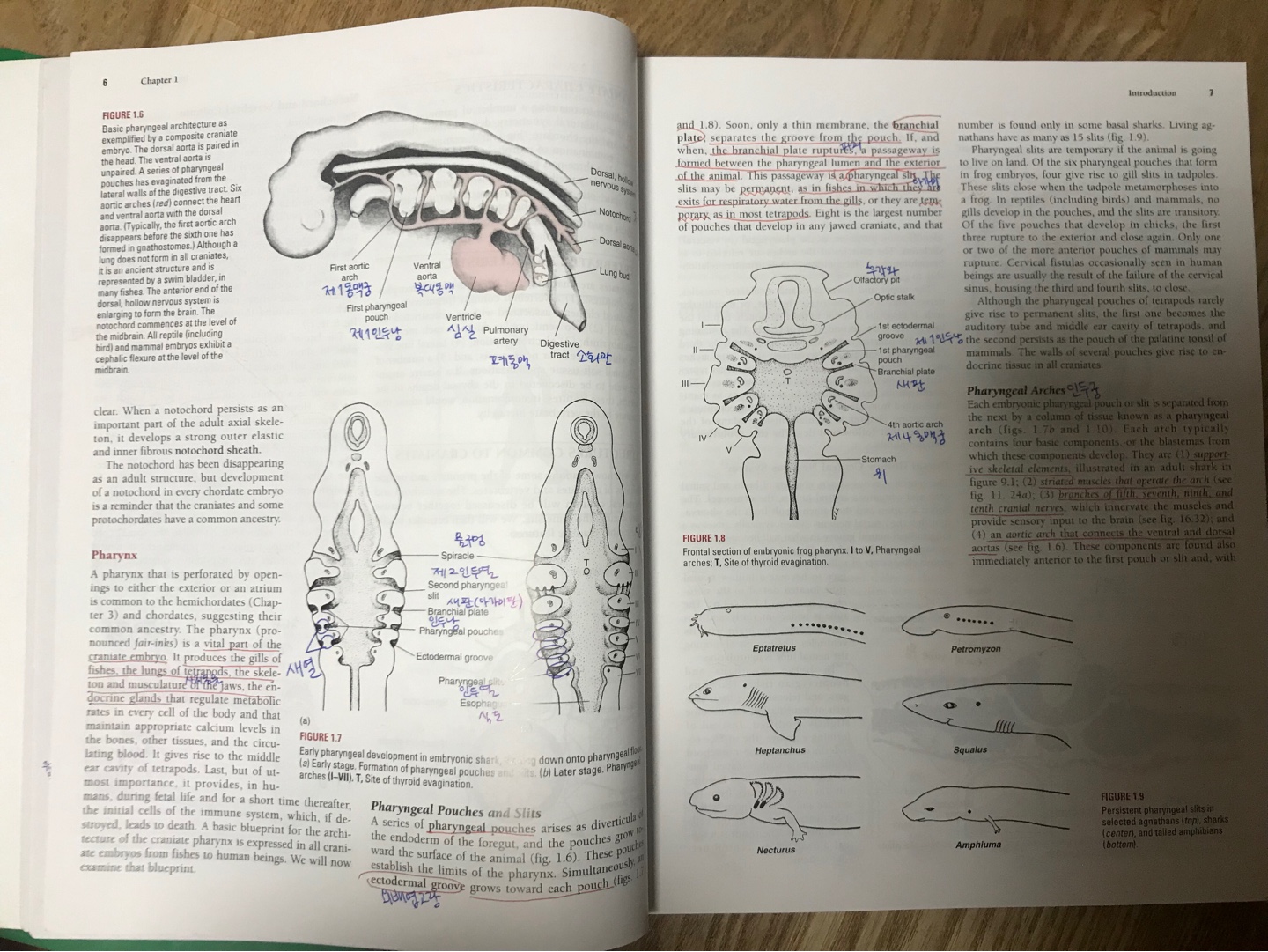 Comparative Anatomy of the Vertebrates, 9/E