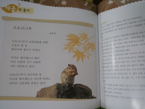 교원올스토리)사계절로 보는 우리나라?