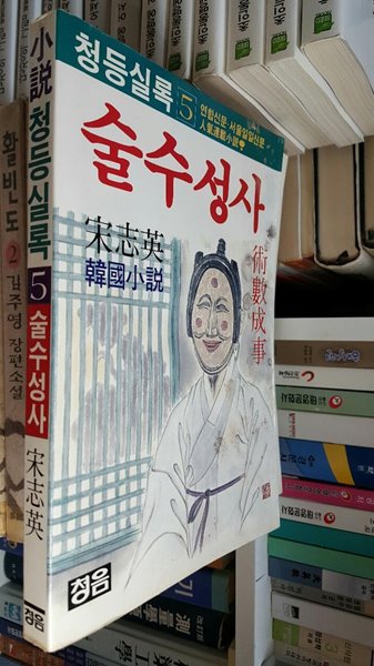 청등실록 5- 술수성사 / 송지영 소설 -86년.초판/ 청음 