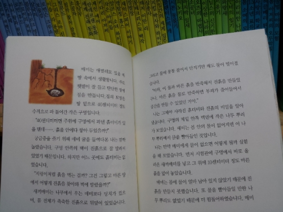 헤르만헤세)추천도서 순수창작동화