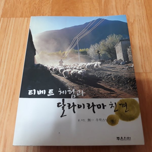 티베트 체험과 달라이라마 친견