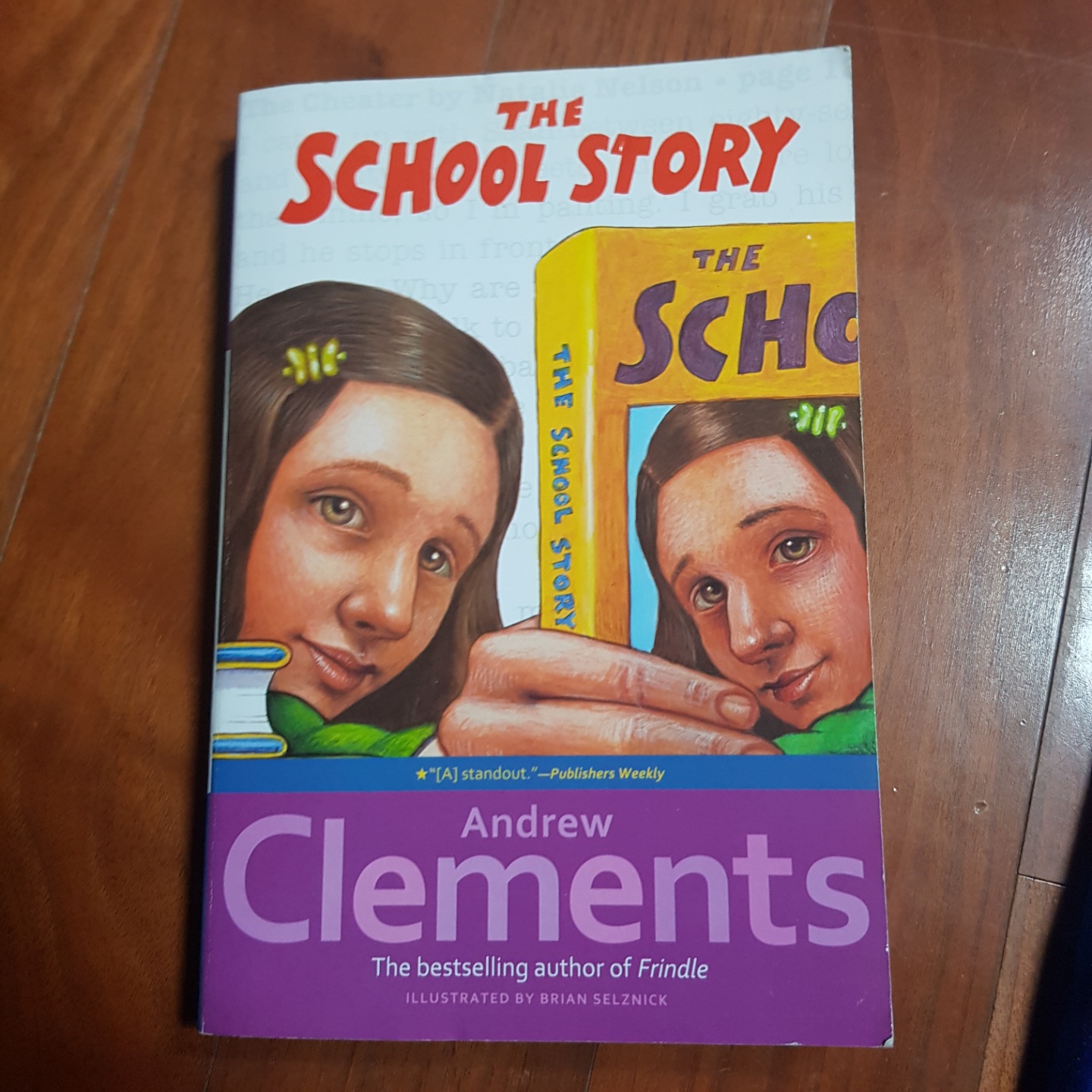 The School Story