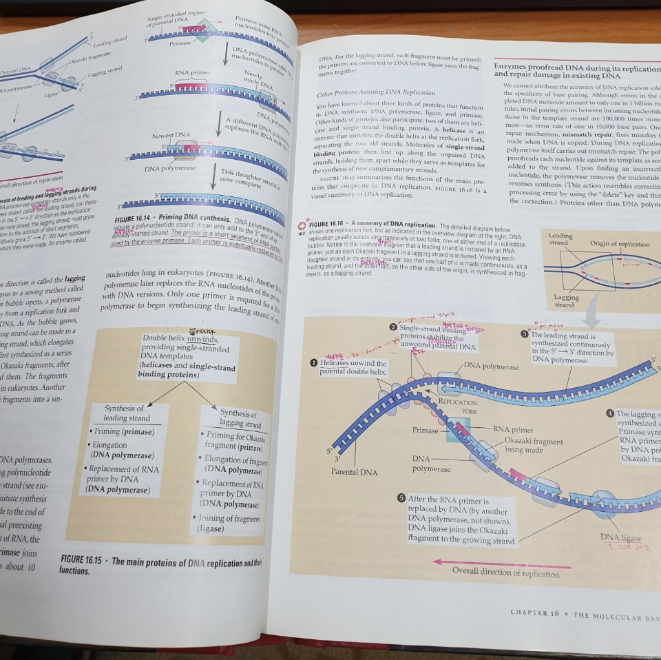 Biology (5th Edition, Hardcover 1권 + CD-ROM 1장)