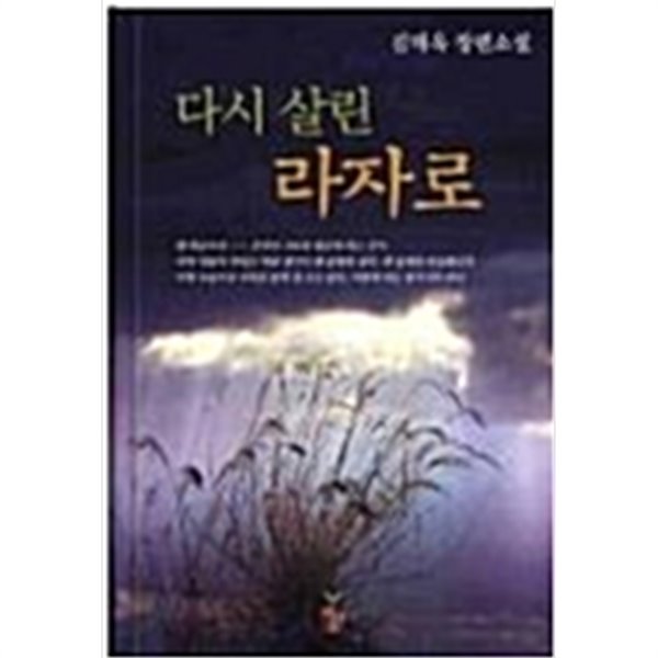 다시 살린 라자로/ 김태옥 장편소설