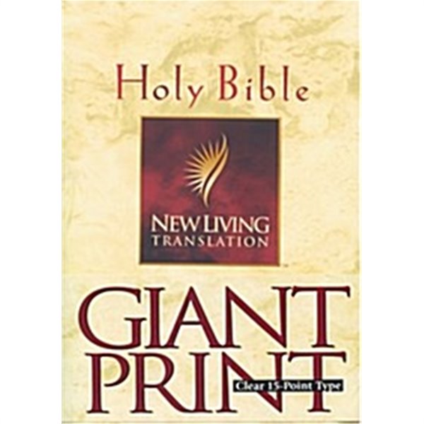 Holy Bible: New Living Translation (Paperback)/ 원서