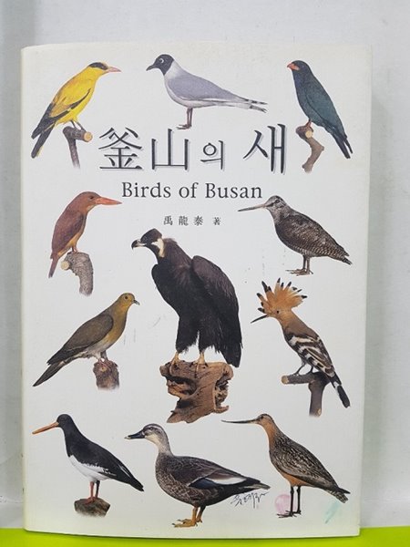 부산의 새 