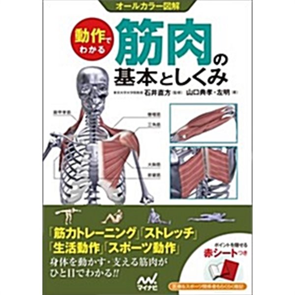 動作でわかる筋肉の基本としくみ オ-ルカラ-圖解