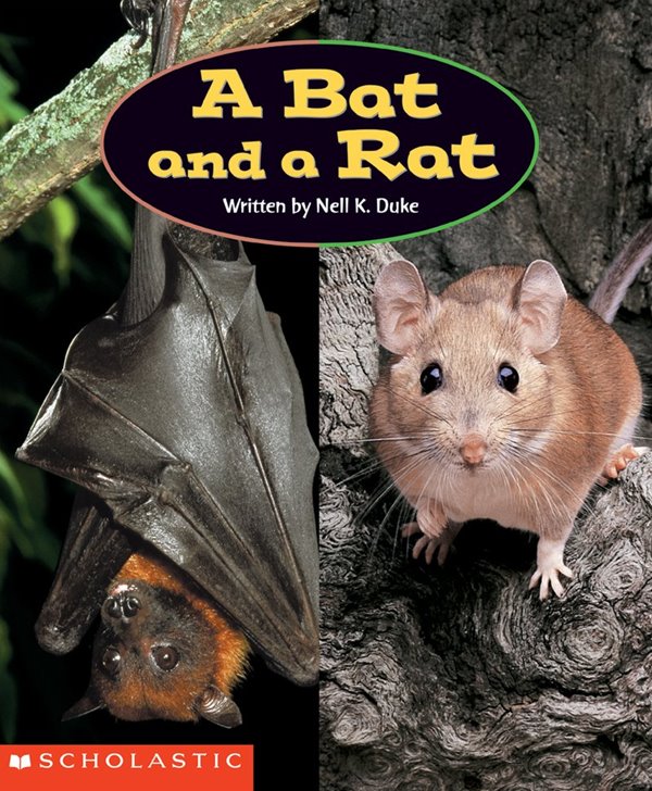 A Bat and a Rat : Scholastic Reading LIne