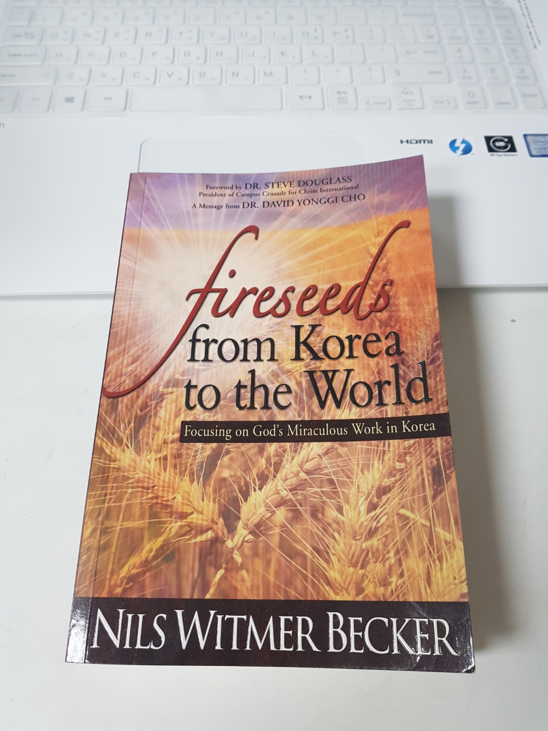 Fireseeds From Korea to the World