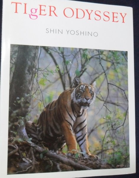 [일어판] TIGER ODYSSEY - SHIN YOSHINO