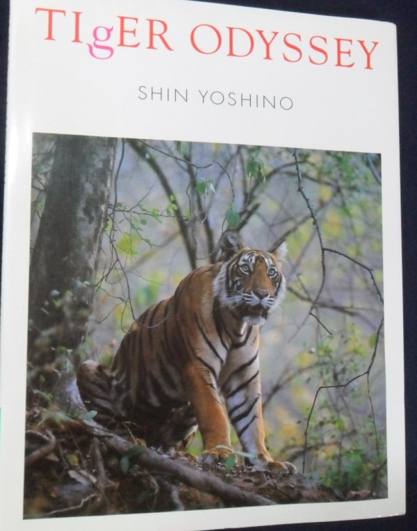 [일어판] TIGER ODYSSEY - SHIN YOSHINO