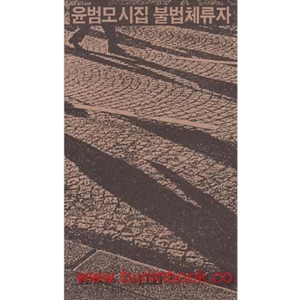 (상급) 1988년 초판 윤범모 시집 불법체류자