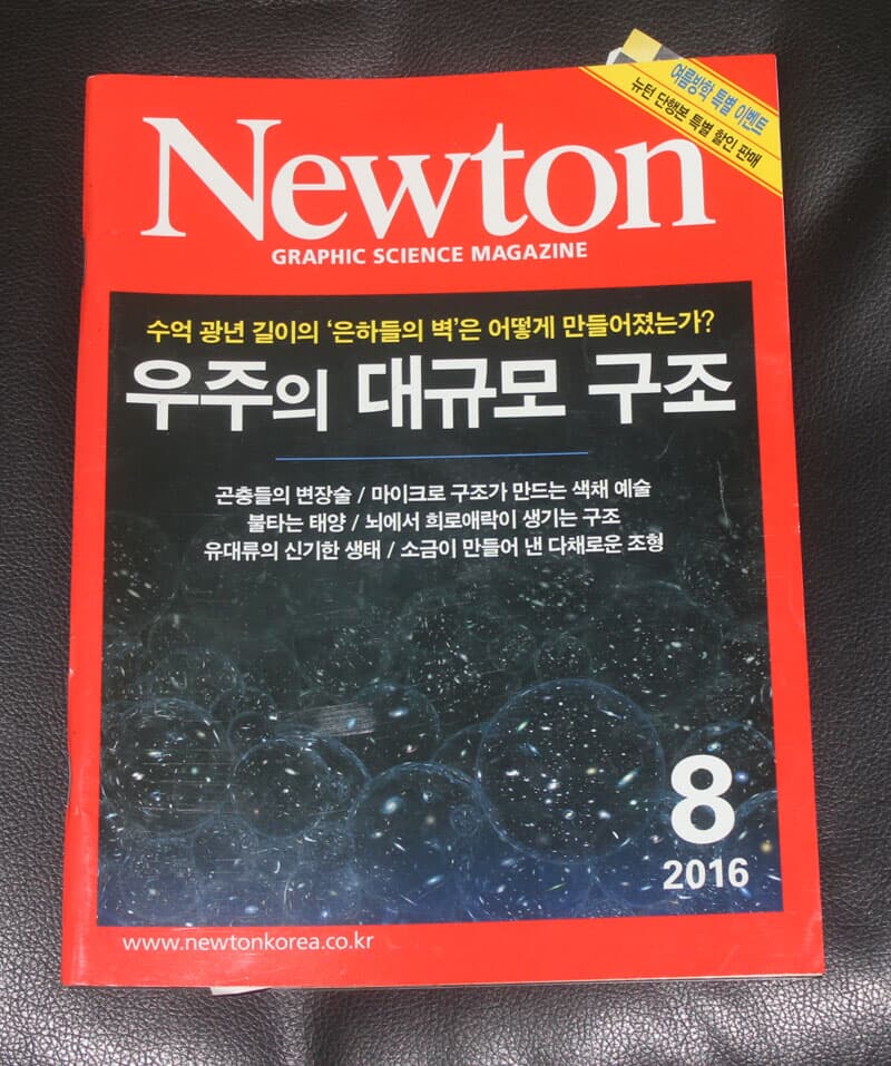 Newton 우주의 대규모 구조