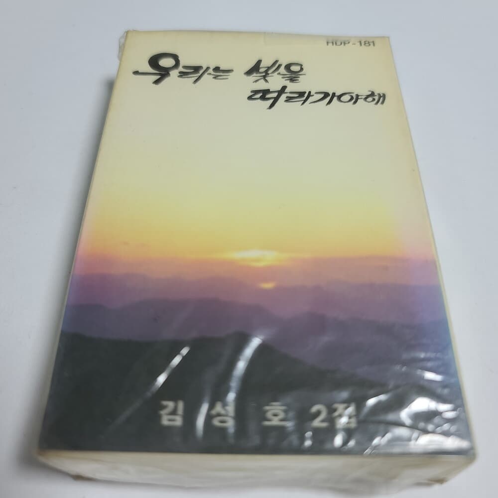 (미개봉Tape) 김성호 2집 - 우리는 빛을 따라가야해 