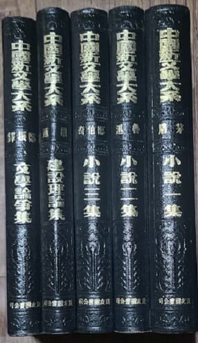 中國新文學大系 5冊(중국신문학대계)  5권(중국어 원서)