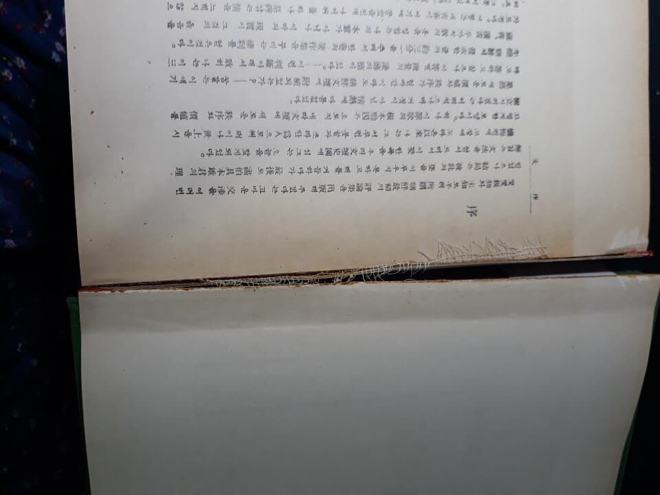 비평문학(1938, 김문집 평론집, 영인본)