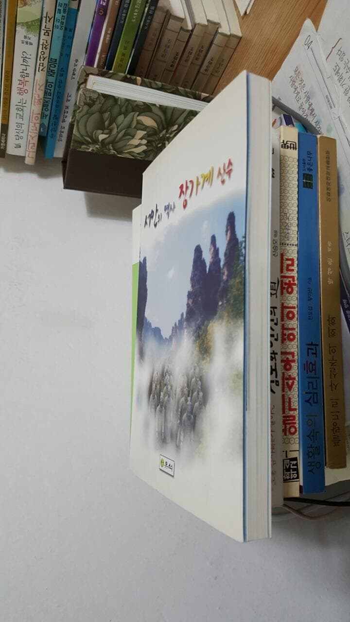 서안의 역사 장가계 산수/ 중국 교육 연수록/  유석초등학교      