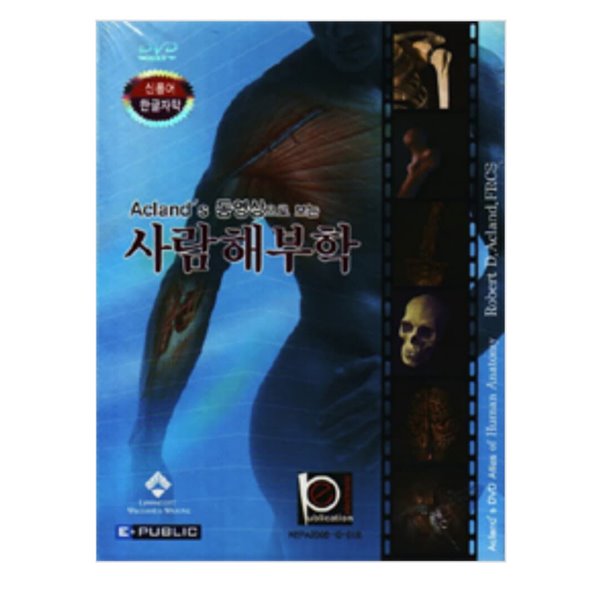 Acland&#39;s 동영상으로 보는 사람 해부학-DVD6장