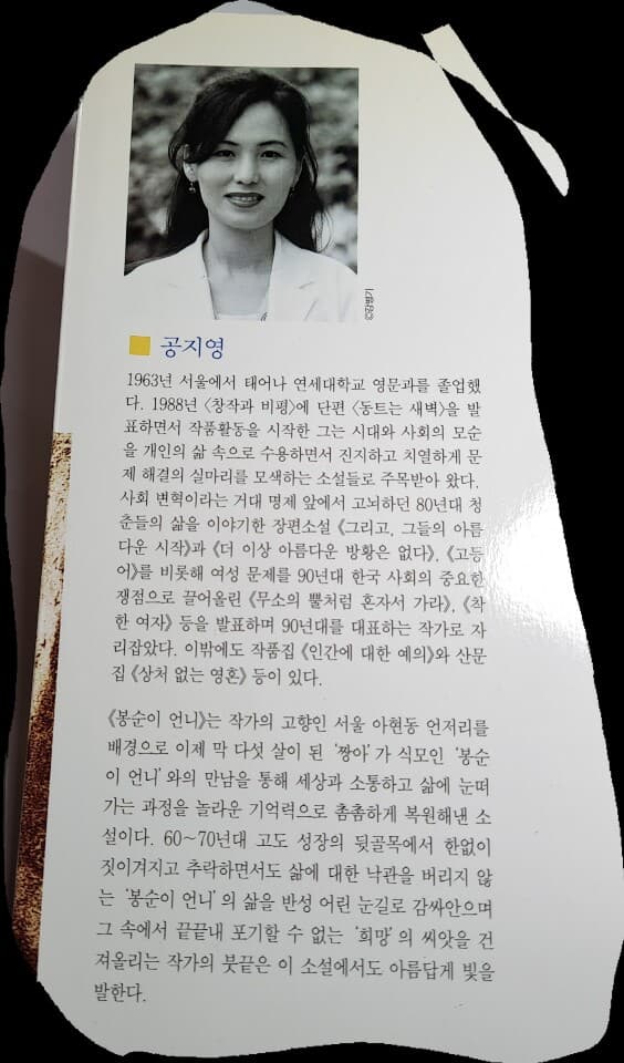 봉순이 언니-공지영(MBC특별기획 '책을 읽읍시다'선정 도서)
