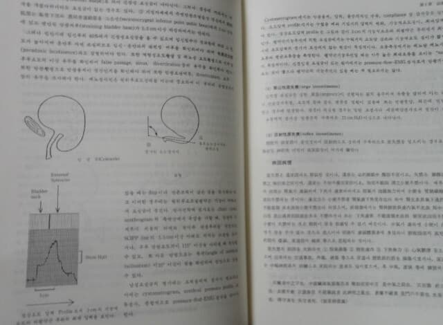 동의신계학(東醫腎系學) 상.하 (전2권)