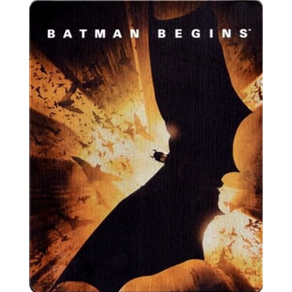 배트맨 비긴즈 북미 스틸북 한정판