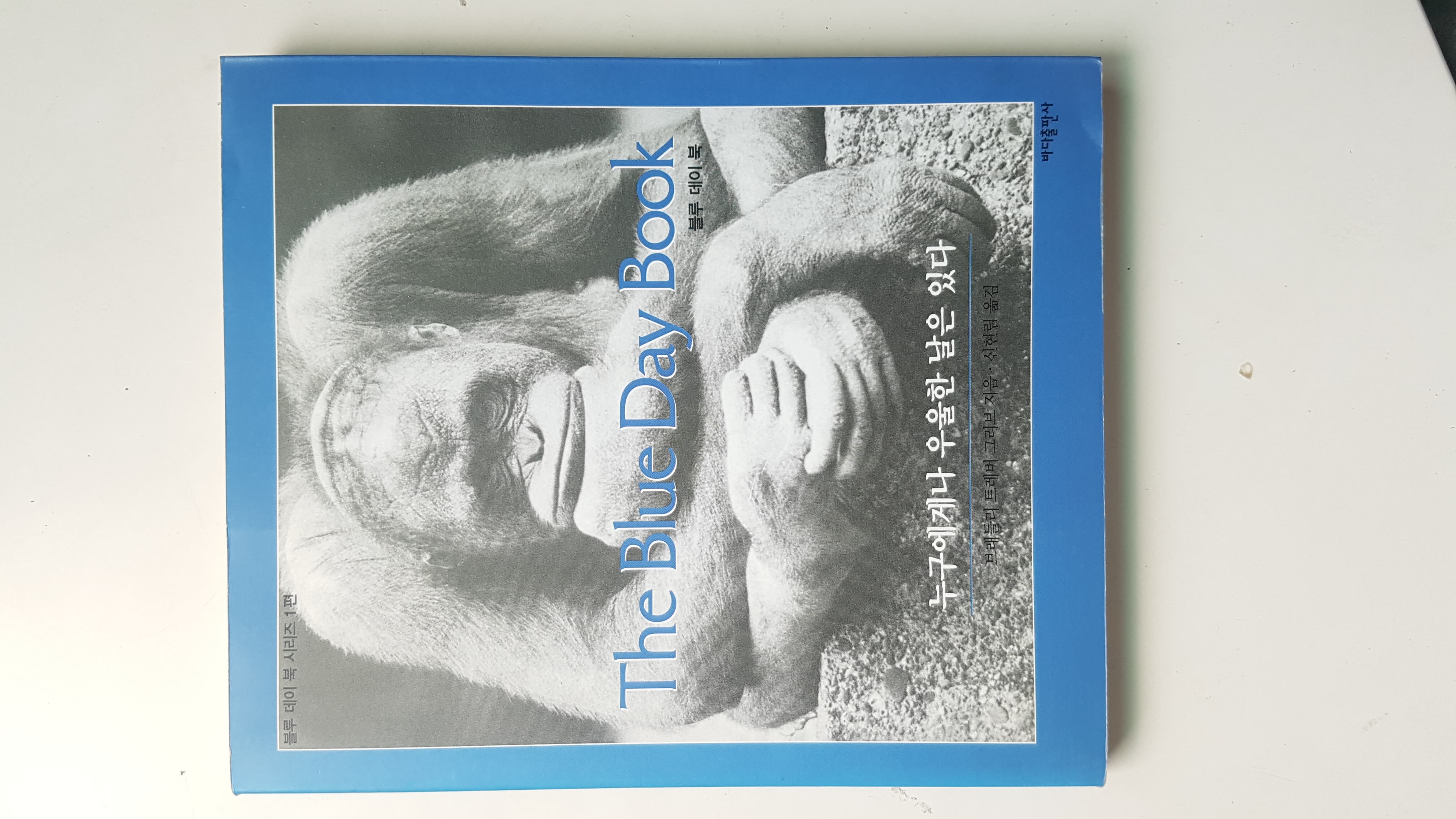 The Blue Day Book