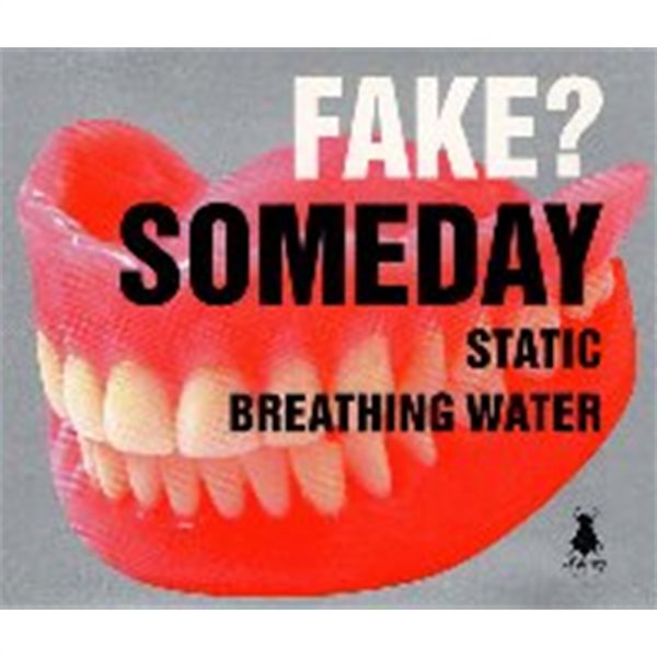 Fake? / Someday (수입/Single)