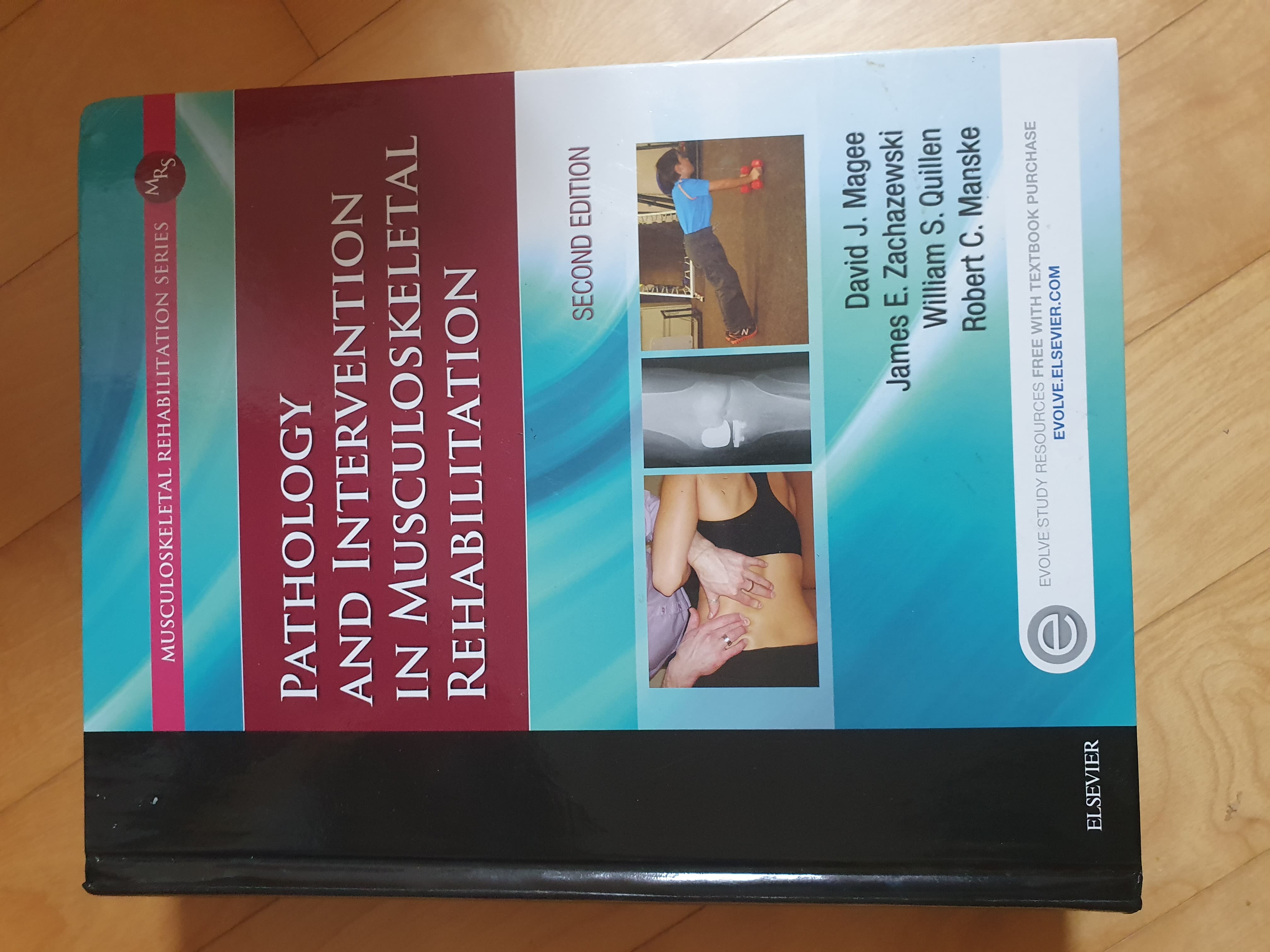 Pathology and Intervention in Musculoskeletal Rehabilitation