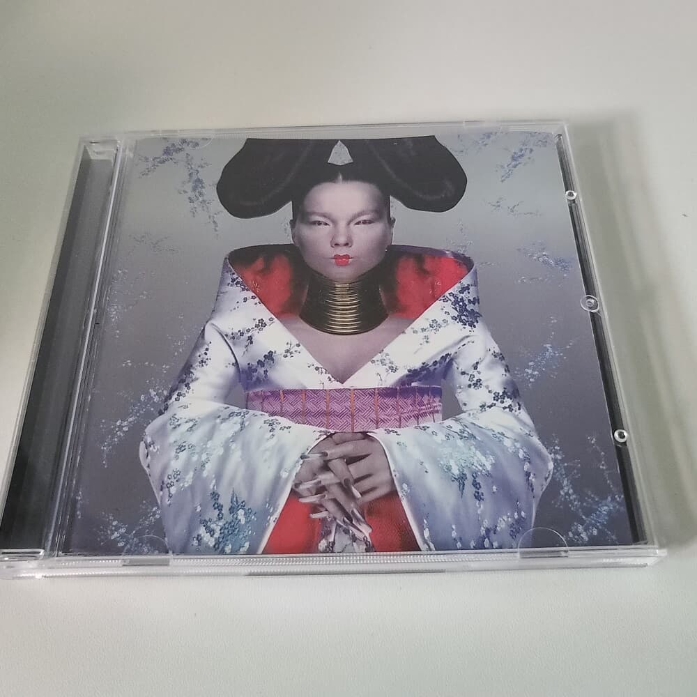 Bjork - Homogenic 