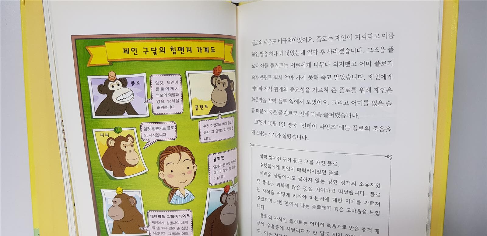 [금성출판사] DREAM BOOKS 꿈을 이룬 사람들 1-40(전권) : 상세사진 무료배송