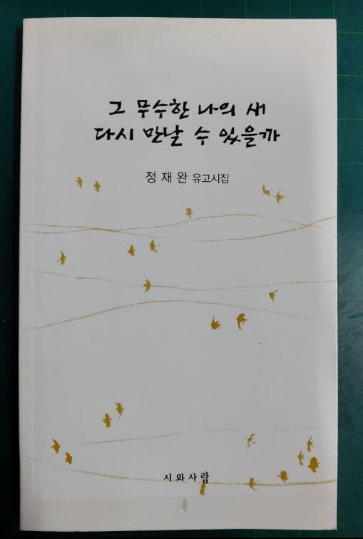 그 무수한 나의 새 다시 만날 수 있을까 (정재완 유고시집) / 시와사람 [초판본]