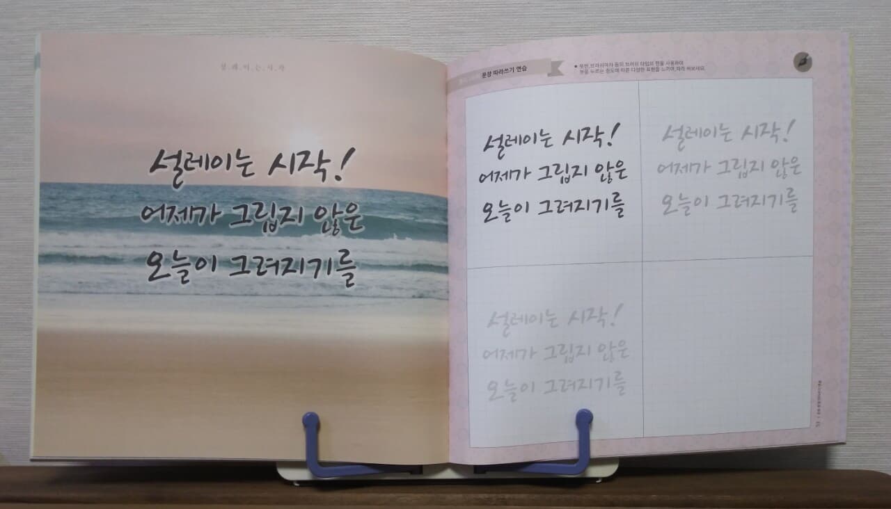 캘리그라피