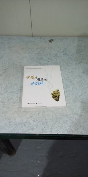 중원의 새로운 문화재